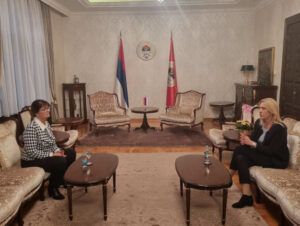 Цвијановић и Живковић Рајилић