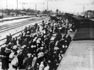 Добојски логор