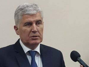 Драган Човић