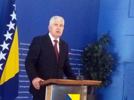 Драган Човић