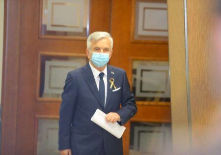 Недељко Чубриловић