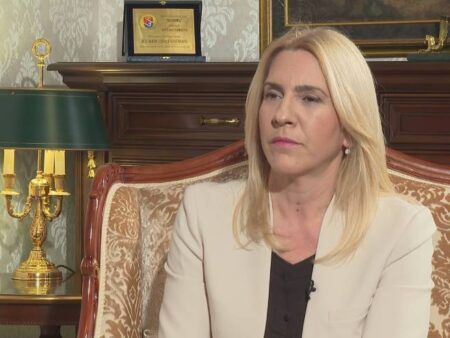 Жељка Цвијановић