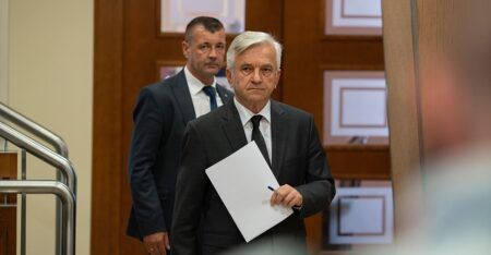Недељко Чубриловић