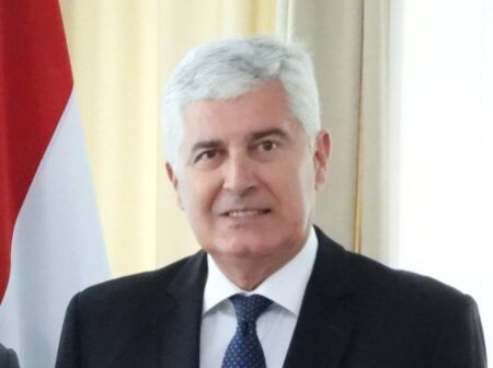 Драган Човић