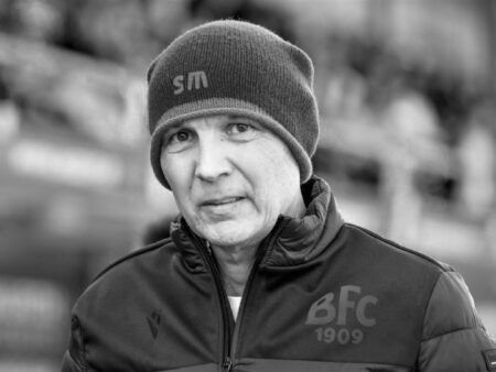 Синиша Михајловић