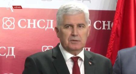 Драган Човић