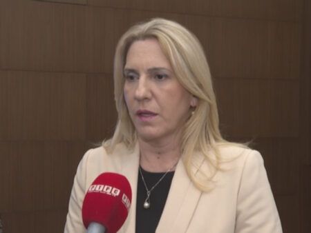 Жељка Цвијановић