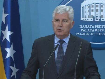 Драган Човић